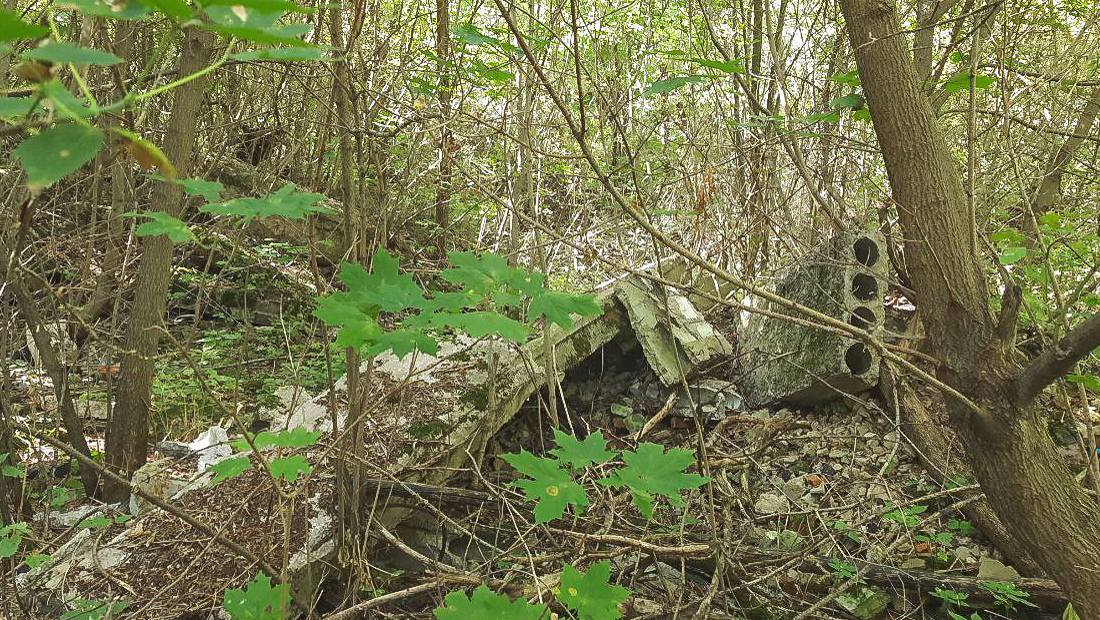 Artifacts of two almost extinct civilizations - My, Collapse of the USSR, Ruins, Count's ruins, Mobile photography, History, Pioneer camp, Chapel, Architecture, Architectural monument, Soviet architecture, Thicket, Memory, Monument, sights, Local history, Longpost