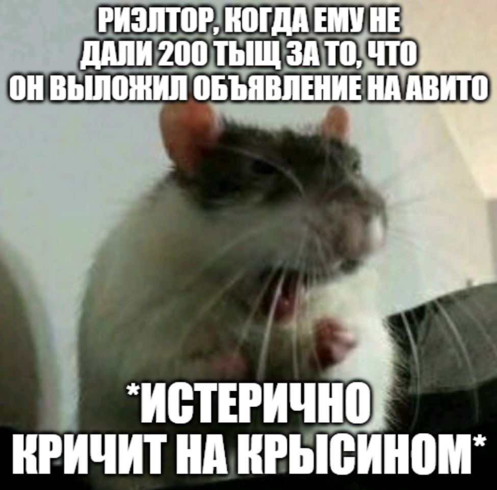 Realtor - My, Memes, Realtor, Picture with text, Rat