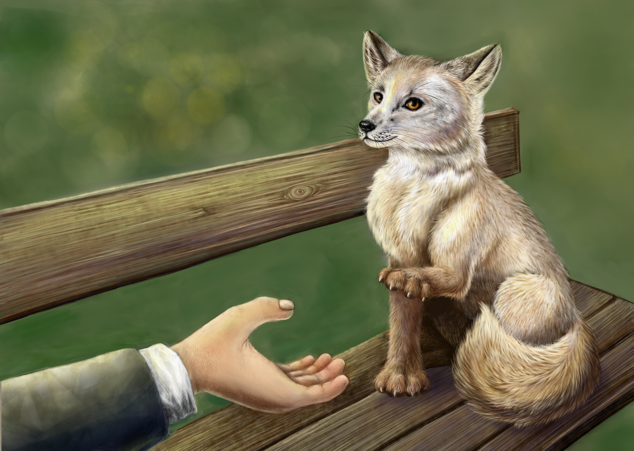 How I drew Academic foxes for a book - My, Drawing, 2D, Animals, Books, Novosibirsk, Akademgorodok, Domestic fox, Painting, Digital, Longpost