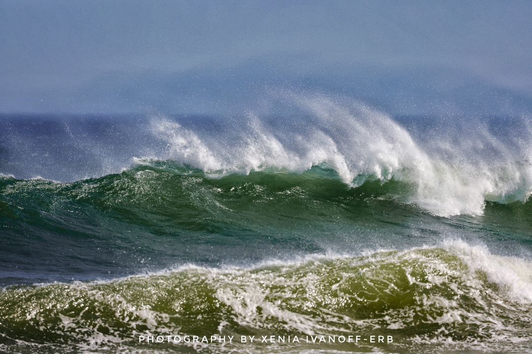 Wind on the sea - Sea, Wind, Spray, wildlife, South Africa, The photo