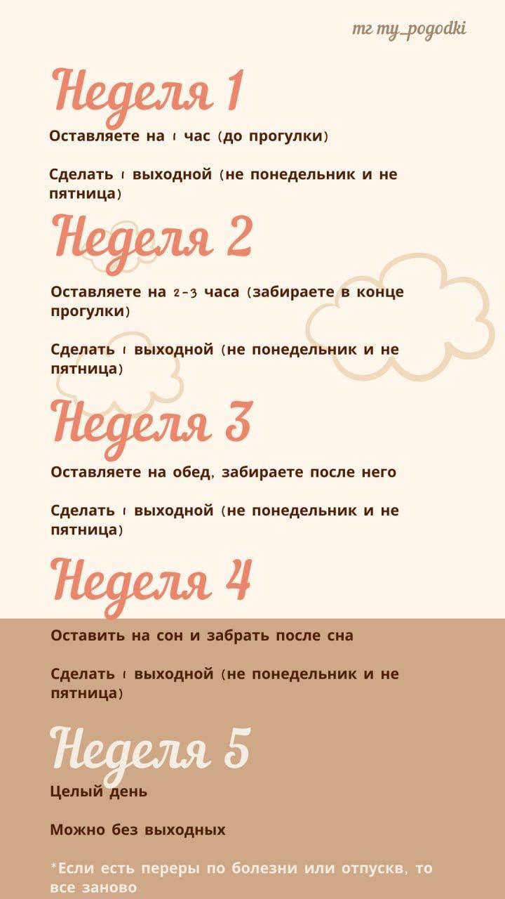 Схема адаптации в детском саду - Моё, Детский сад, Адаптация, Воспитание детей, Длиннопост