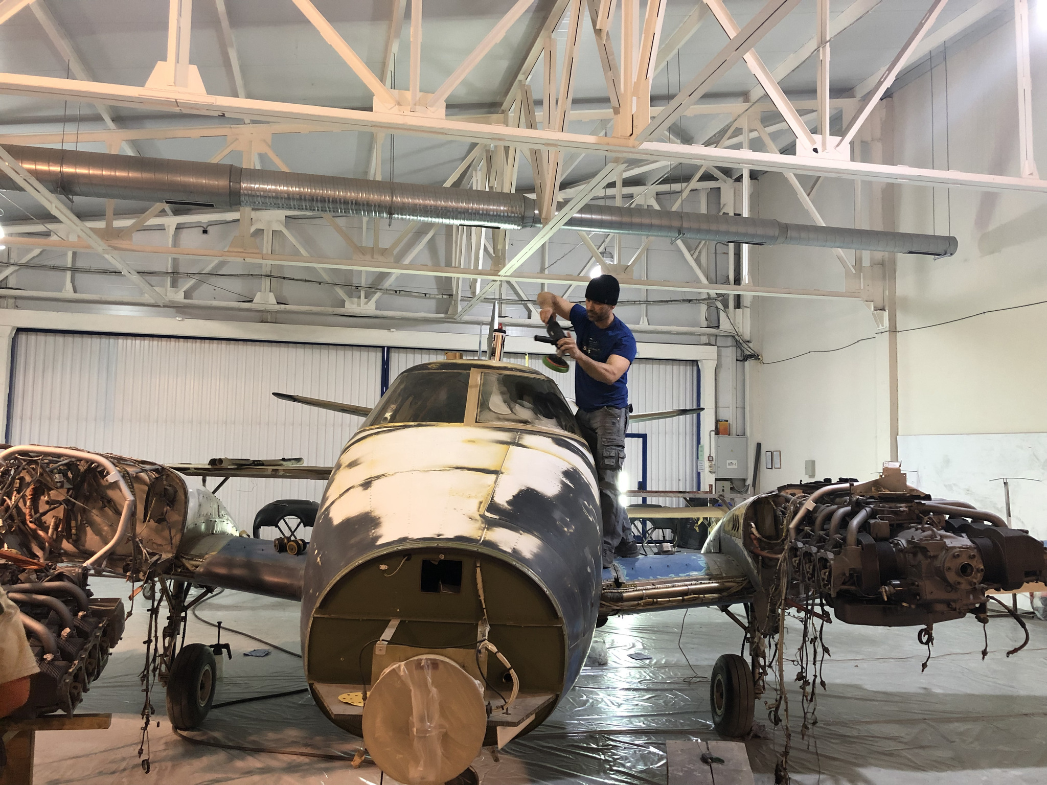 Airbrushing in aviation - Airbrushing, Airbrush, Creative, Design, Artist, Aviation, Airplane, Project, Designer, Technics, a lion, Duke, Flight, Masterpiece, civil Aviation, Master, Art, Painting, Restoration, Yandex Zen (link), Longpost