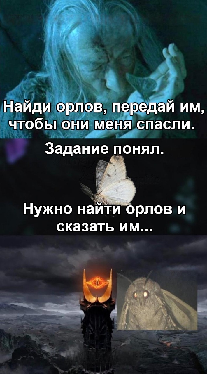 I feel sorry for Gandalf, that good fellow. - Lord of the Rings, Gandalf, Butterfly, Eye of Sauron, Picture with text, Translated by myself, VKontakte (link)