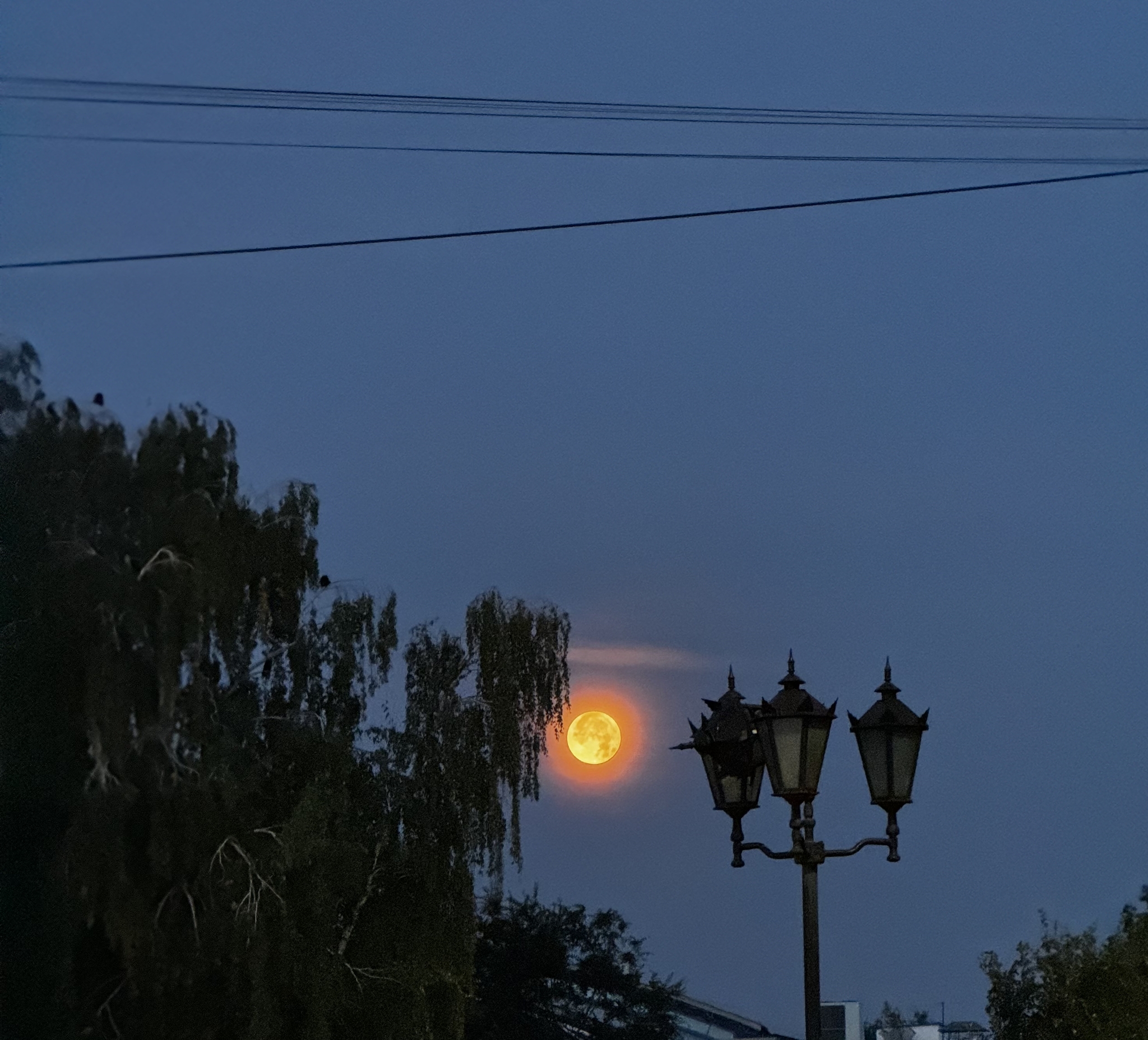 Full moon - My, moon, The photo