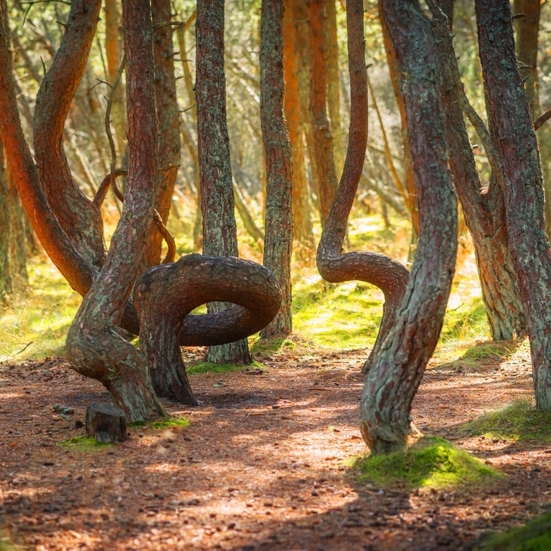 Mysterious places in Russia that attract tourists - My, sights, Road trip, Travel across Russia, Tourism, Travels, Auto, Motorists, Mystic, Туристы, Cities of Russia, History, A selection, Museum, Drive, Longpost