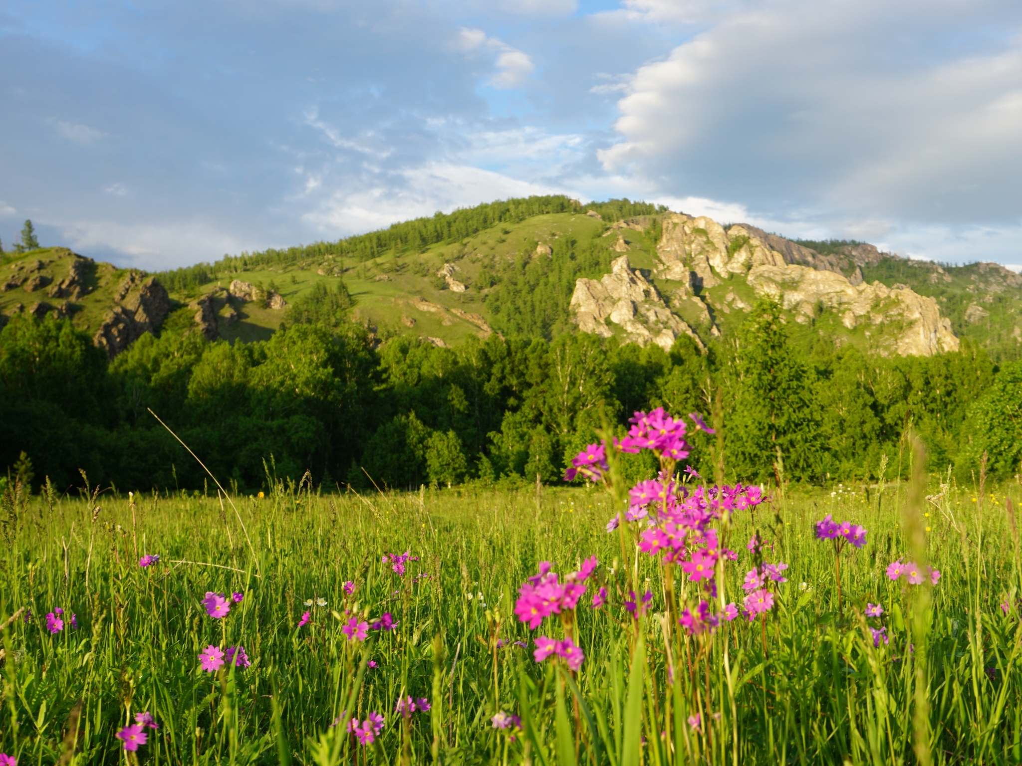 Siberians! How do you like summer 2024? - My, Tourism, Khakassia, Krasnoyarsk region, Tyva Republic, Longpost