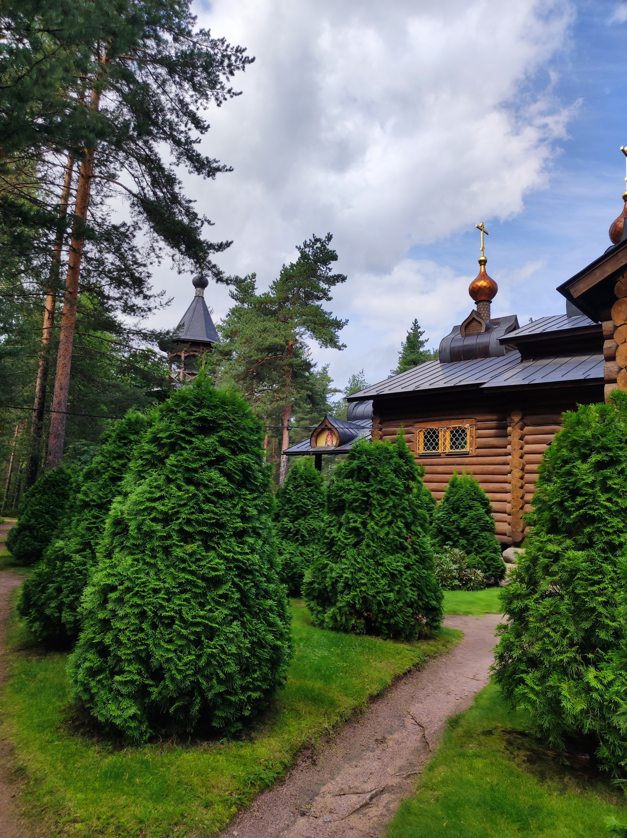 Последние дни лета, но впереди ещё целый сентябрь! - Моё, Лес, Грибы, Ягоды, Длиннопост