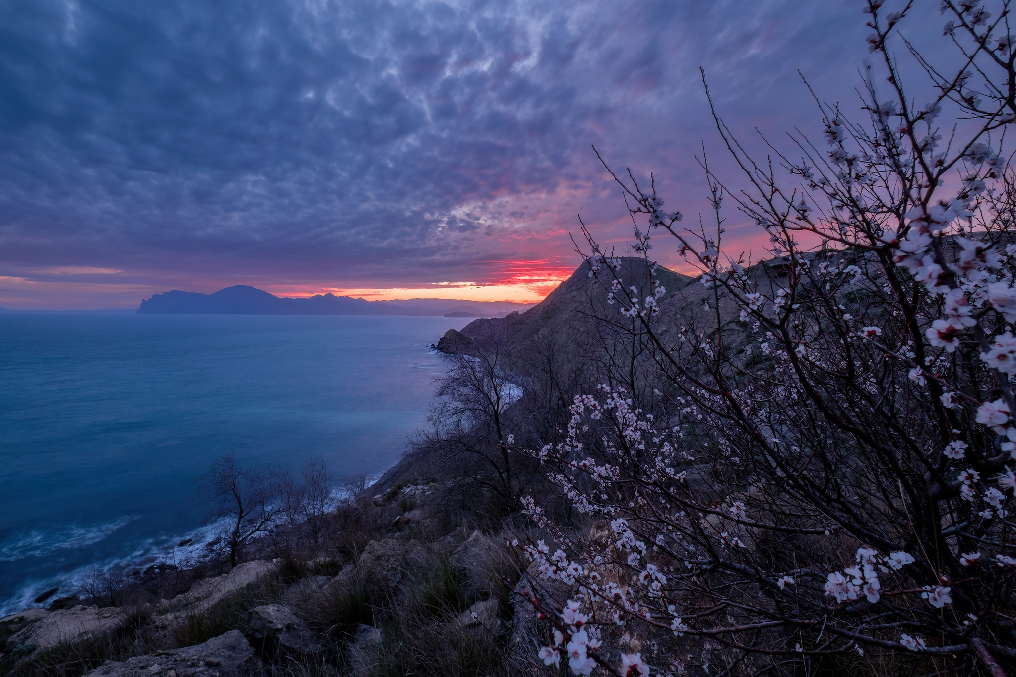 Sunset and almond blossoms over Agatov Beach. Ordzhonikidze, Crimea - My, Black Sea, Sky, The photo, Crimea, Beautiful view, Russia, Almond, Sunrises and sunsets