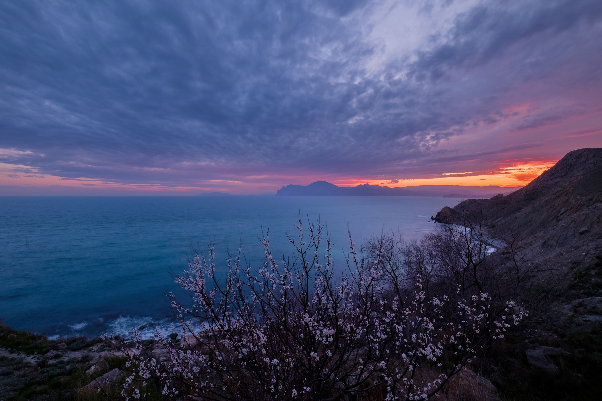 Sunset and almond blossoms over Agatov Beach. Ordzhonikidze, Crimea - My, Black Sea, Sky, The photo, Crimea, Beautiful view, Russia, Almond, Sunrises and sunsets