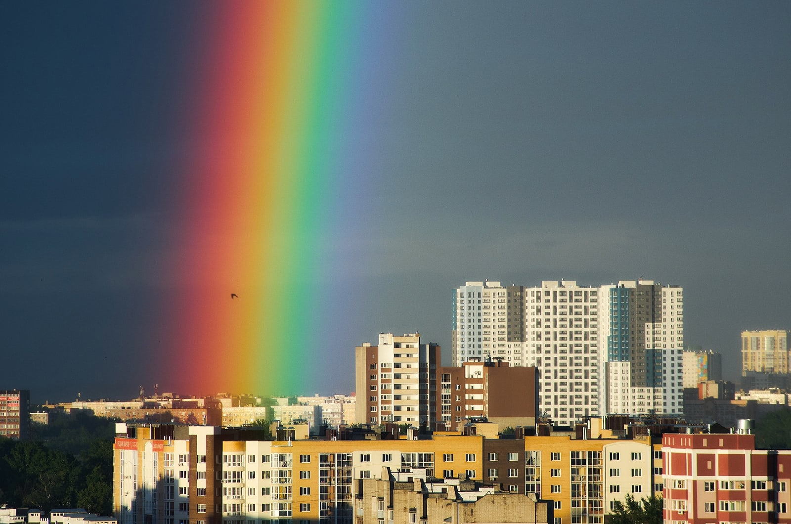 Rainbow - Rainbow, The photo