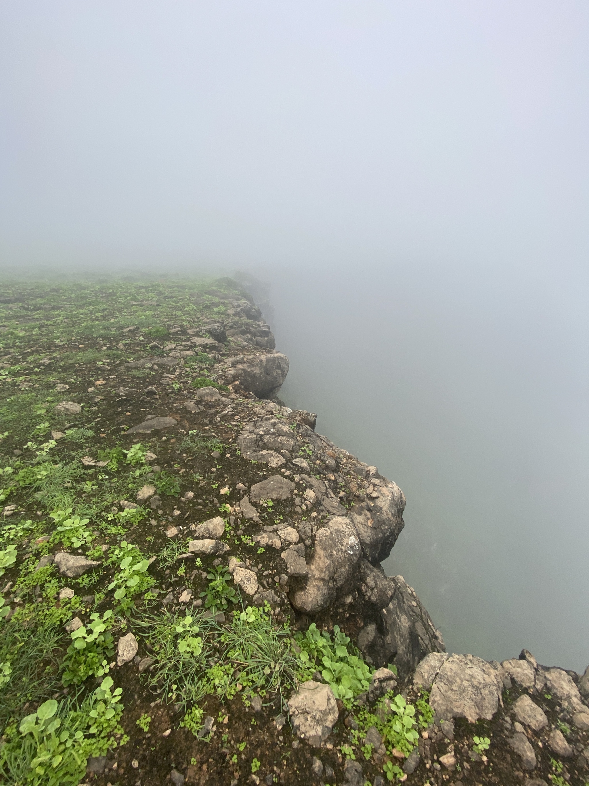 Trip to Oman - My, Oman, Indian Ocean, Desert, Video, Vertical video, Mat, Longpost