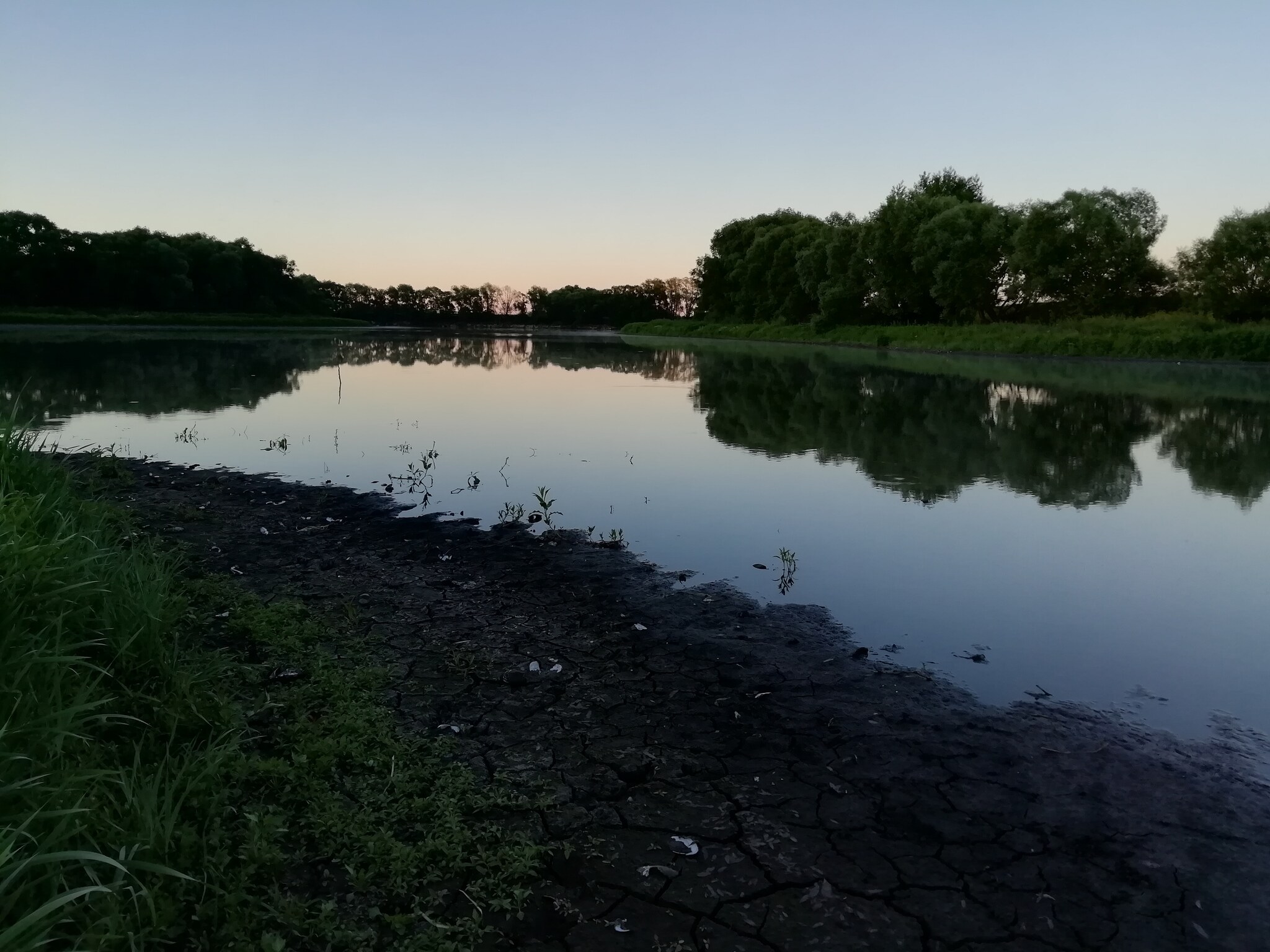 A little more pond) - My, The photo, Mobile photography, Pond, Evening, Nature, View, Beautiful view