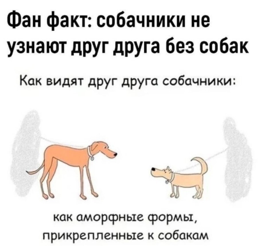 Is everyone like this? - Humor, Picture with text, Dog, Pets, From the network, Walk, In contact with, Dog lovers, Repeat