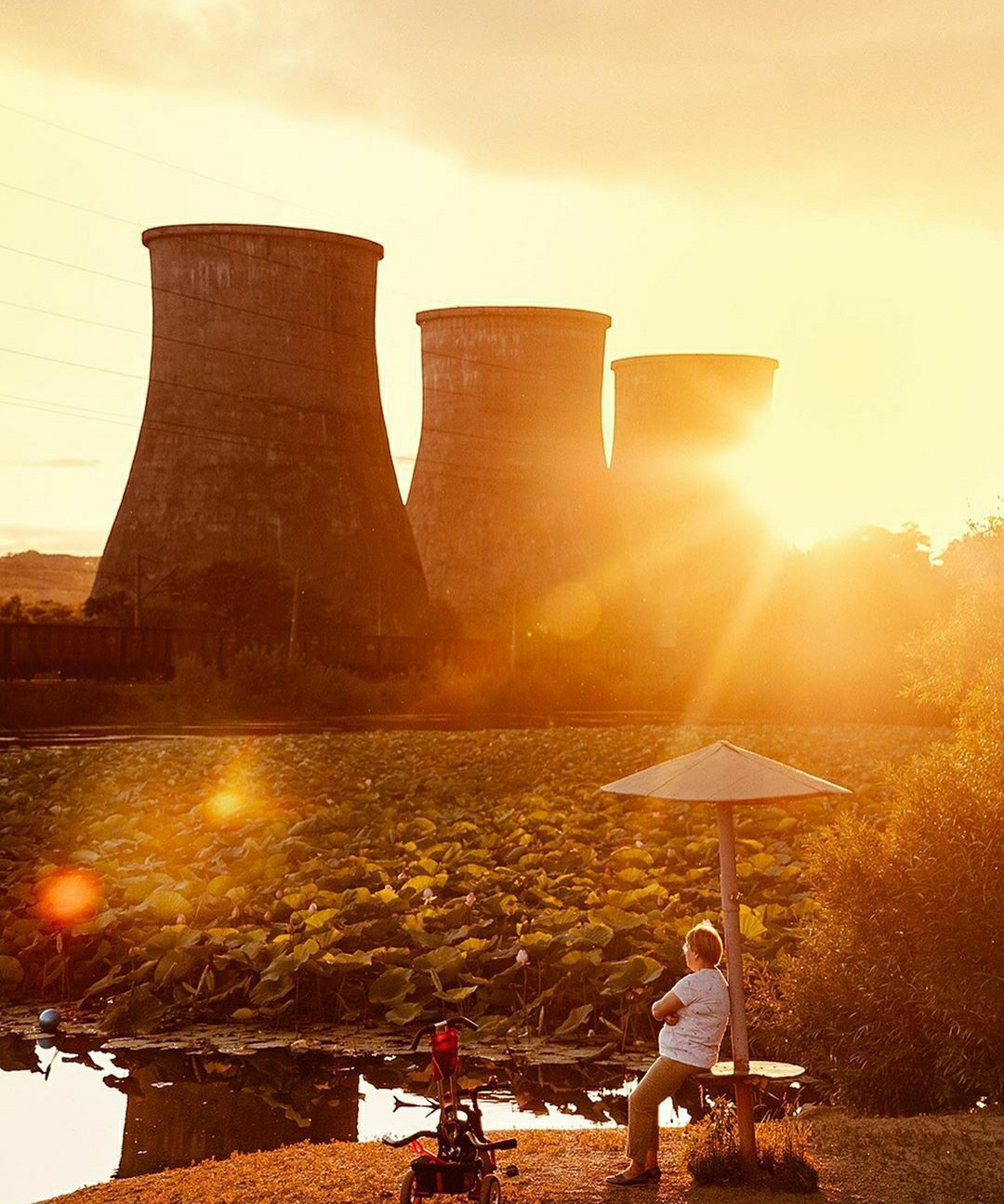 Famous lotuses at the cooling towers of Artyom - My, 15 years ago, Cooling tower, Lotus, Дальний Восток, Longpost