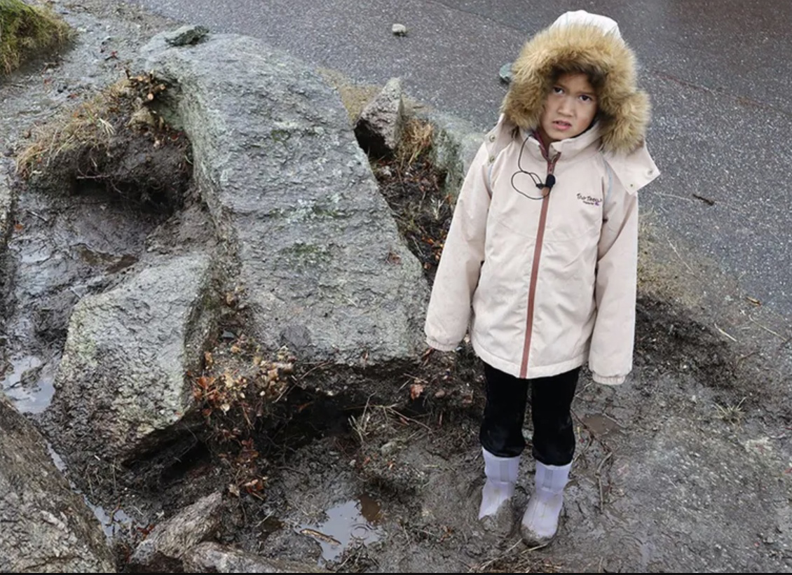 An 8-year-old girl from Norway liked a pebble during a school walk... - My, Nauchpop, The science, Scientists, Research, Archeology, Civilization, Children