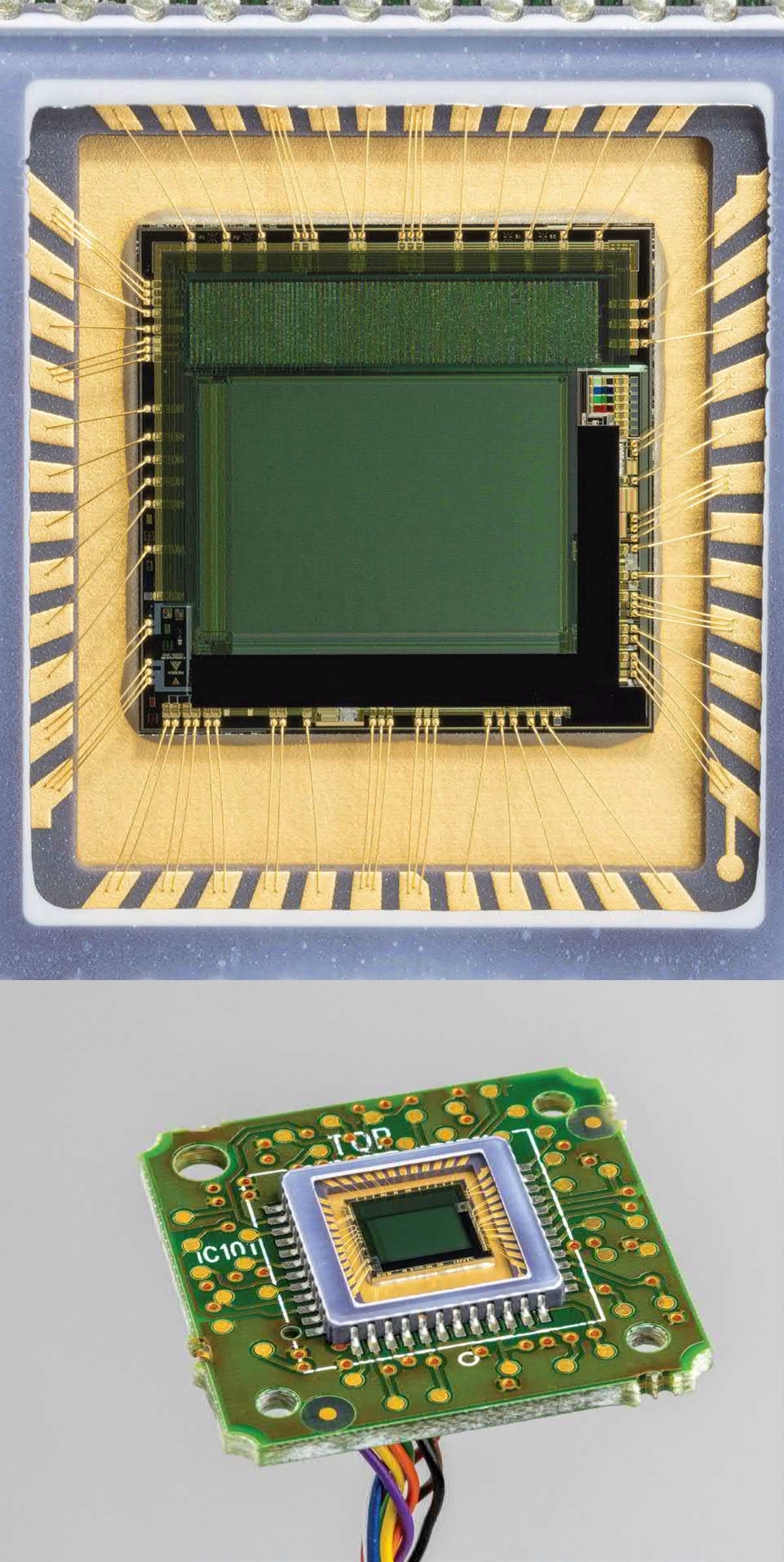 Cross-section of radio components. Amazing sight [Part 3] - Radio amateurs, Radio electronics, Radio parts, Radio engineering, Incision, Electronics, Computer hardware, The photo, Longpost