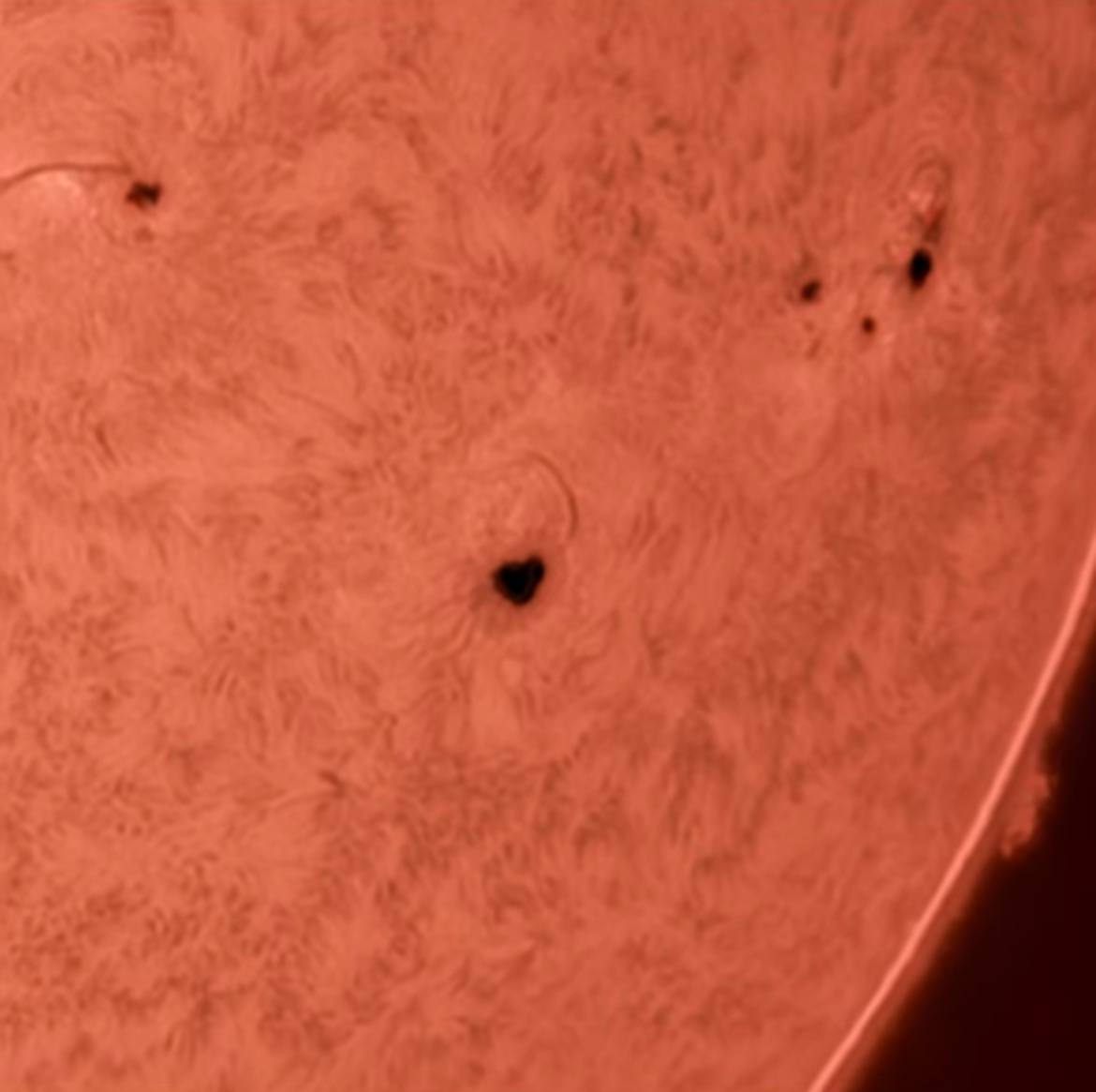 A heart-shaped spot appeared on the Sun - The sun, Heart, The photo, Space, Sun spots