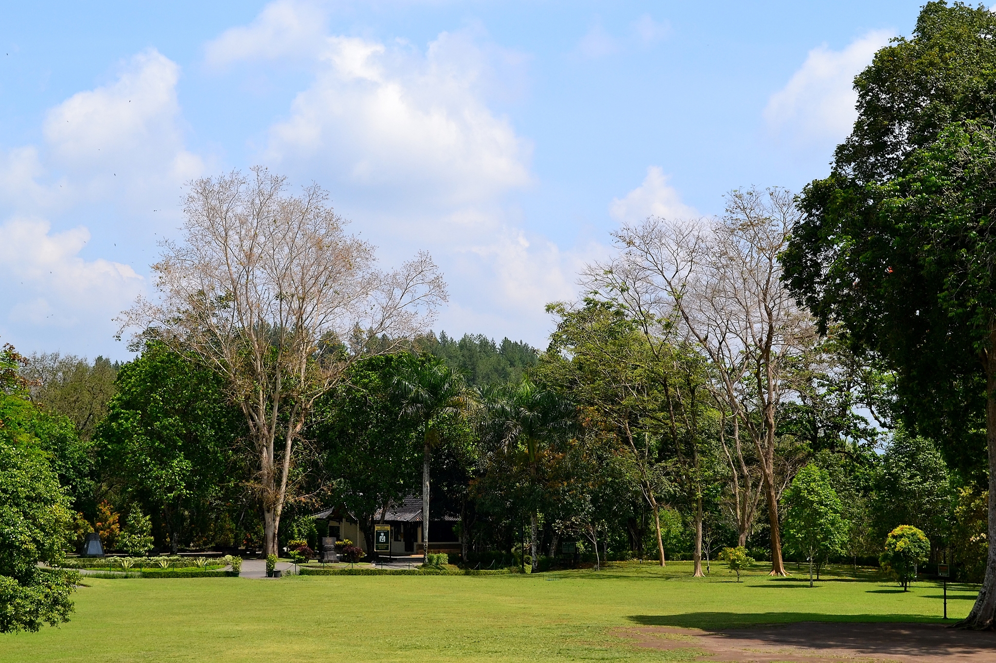 Borobudur Temple Complex. Indonesia, Java - My, Travels, Asia, The photo, Longpost, Indonesia, Java, Temple, Buddhism, Religion, Architecture, Borobudur