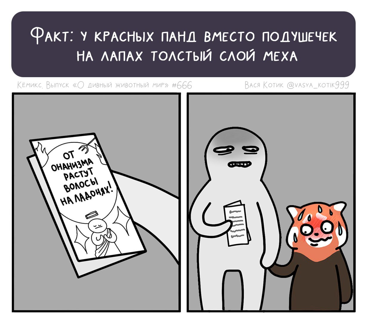 Reply to the post “Did you know that red pandas don’t have pads on their feet?” - My, Red panda, Animals, Wild animals, Funny animals, Author's comic, Reply to post