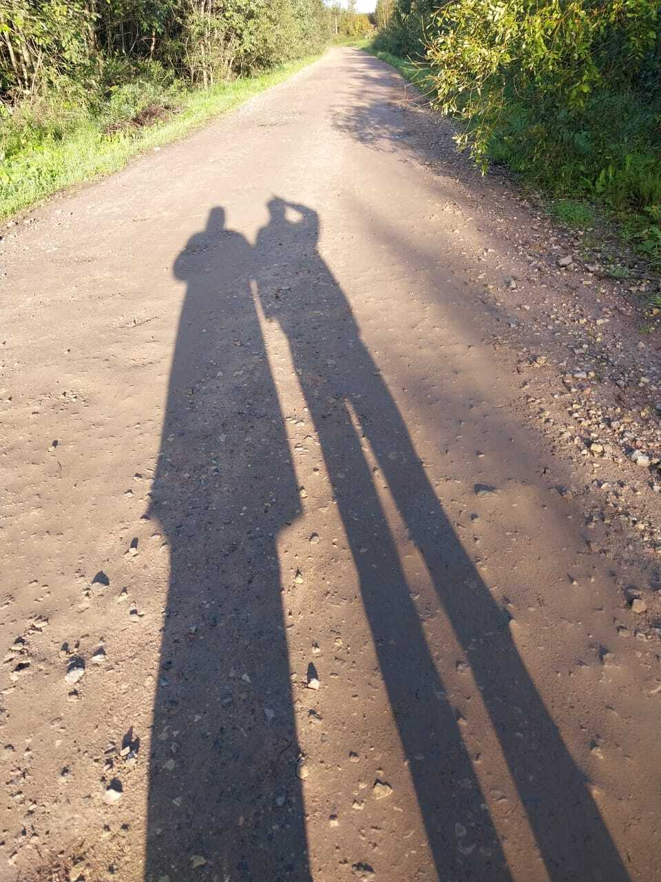 funny shadow - My, Shadow, Forest, Pair, The photo, Road