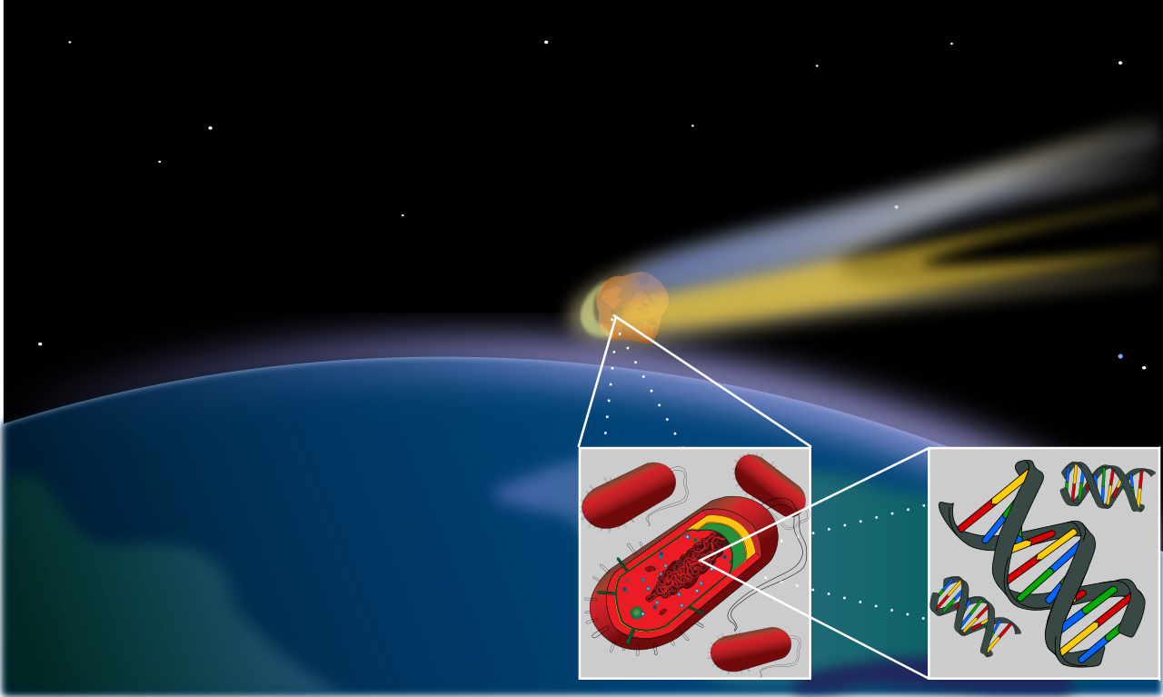 How did life come about? - My, Nauchpop, Research, The science, Critical thinking, Origin of life, Scientists, Evolution, DNA, RNA, Video, Youtube, Longpost