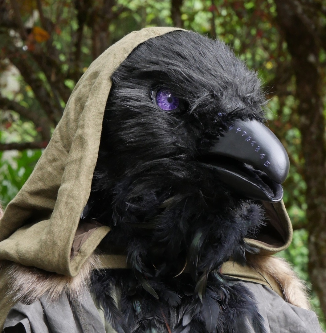 Another great Kenku (raven race) cosplay for Dungeons and Dragons by iopenmymouthtoomuch - Fantasy, Dungeons & dragons, Dnd 5, Races, Tabletop role-playing games, Role-playing games, Cosplay, beauty, Longpost