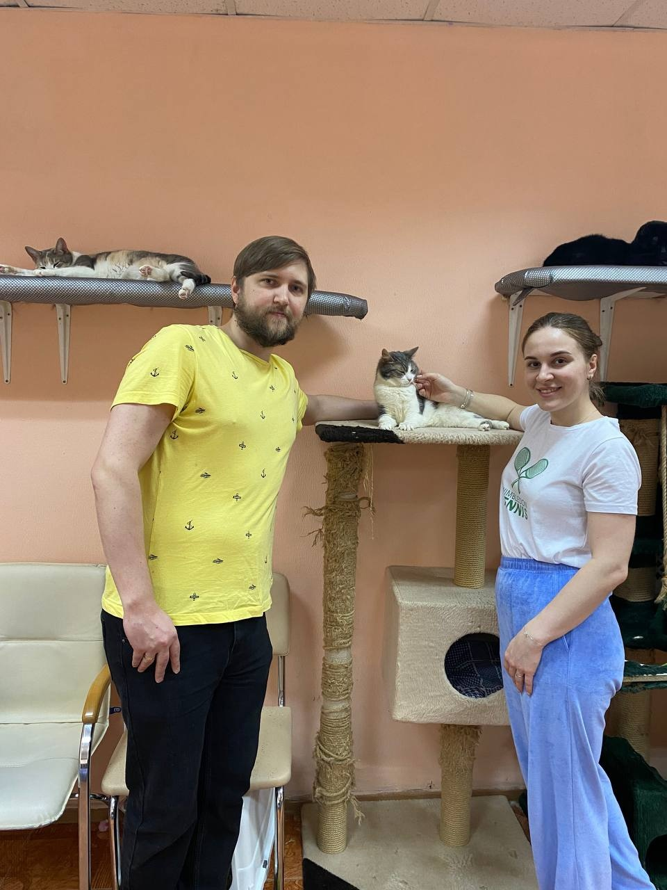 ANO Central Cat Shelter St. Petersburg - Homeless animals, Volunteering, Lost, Charity, Good deed, Saint Petersburg, HOLY, Стрим, Video, Vertical video, VKontakte (link), YouTube (link), Longpost