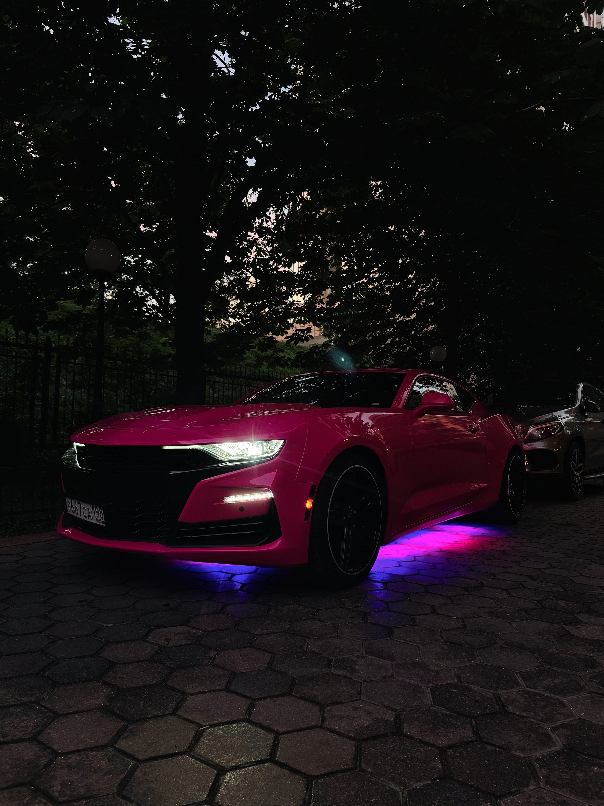 Pink kamarik:z - My, Auto, Chevrolet, Chevrolet camaro, Tuning, Pink, Car, The photo