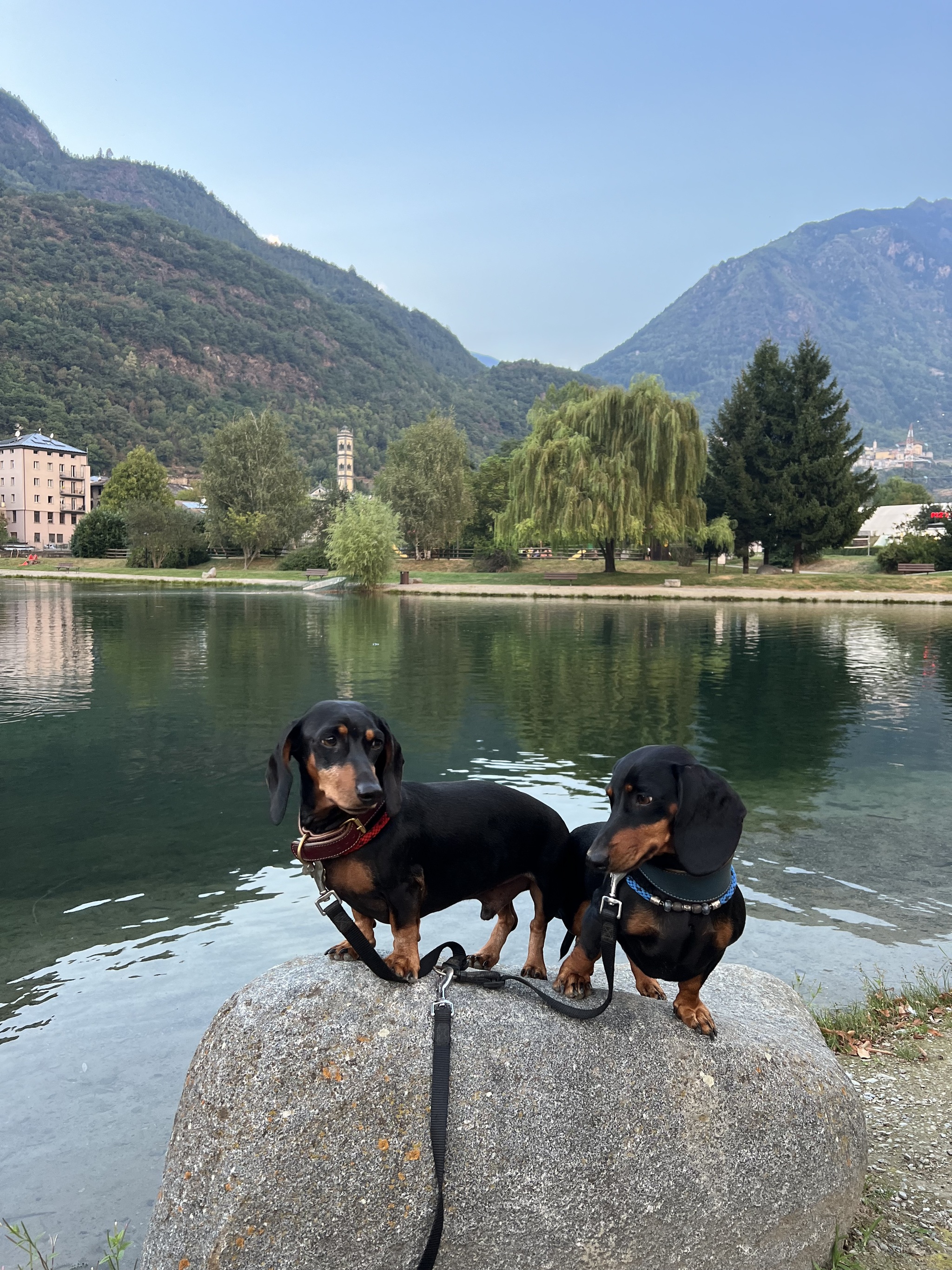 08.27-28.24 Chronicles of a truck driver with dachshunds in Europe. (Flight to Grosotto) - My, Tourism, Truckers, Europe, Drive, Work, Relaxation, Dachshund, Italy, Video, Vertical video, Longpost