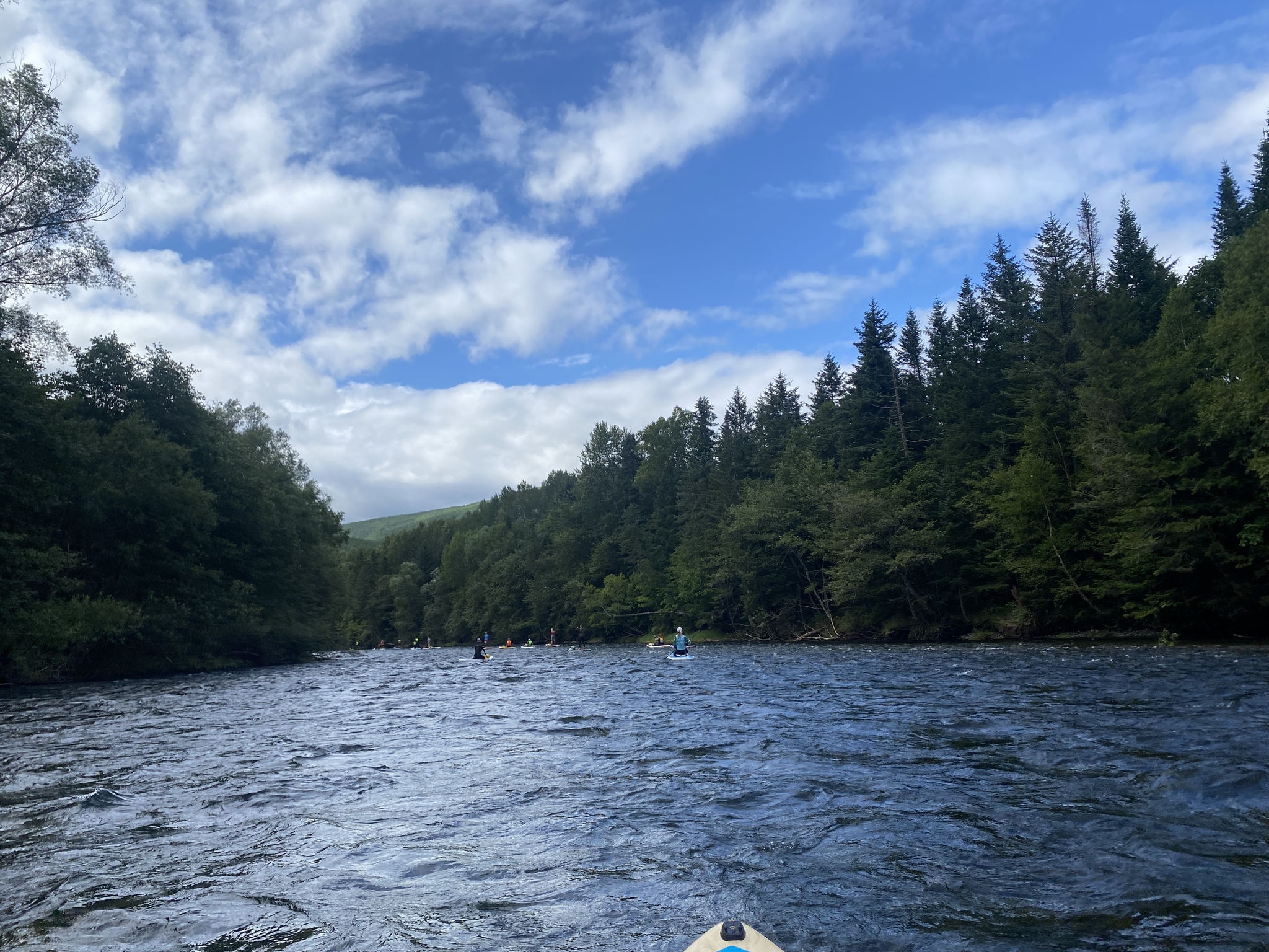 Rafting on the Gobilly River (previous) - My, Alloy, River rafting, SUPsurfing, Mountain river, Travels, Nature, wildlife, The nature of Russia, Дальний Восток, Khabarovsk region, Surfboard, Video, Longpost