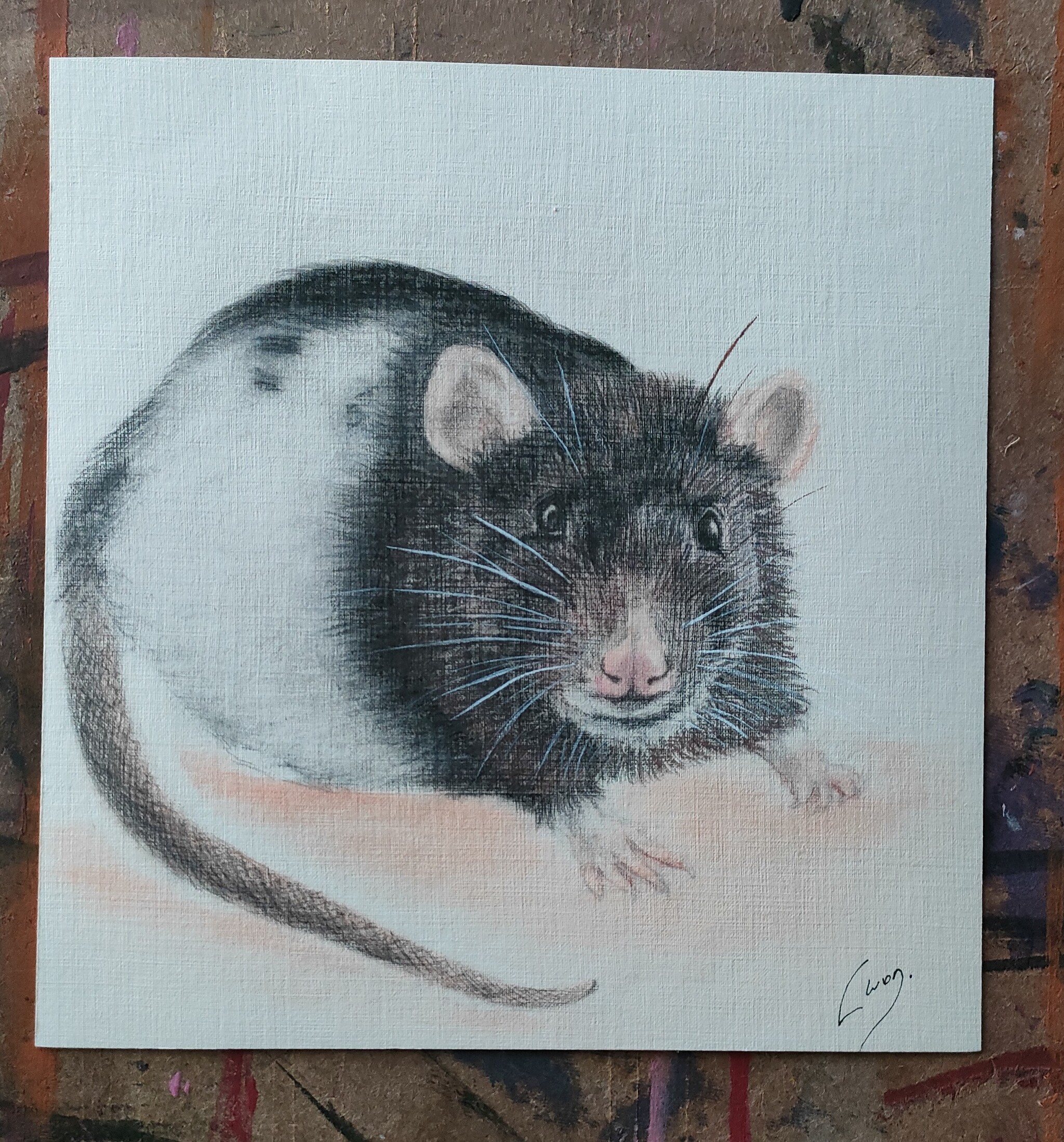 Portrait #1 Rat - My, Drawing, Learning to draw, Painting, Beginner artist, Rat, Pastel pencils, Illustrations, Animalistics