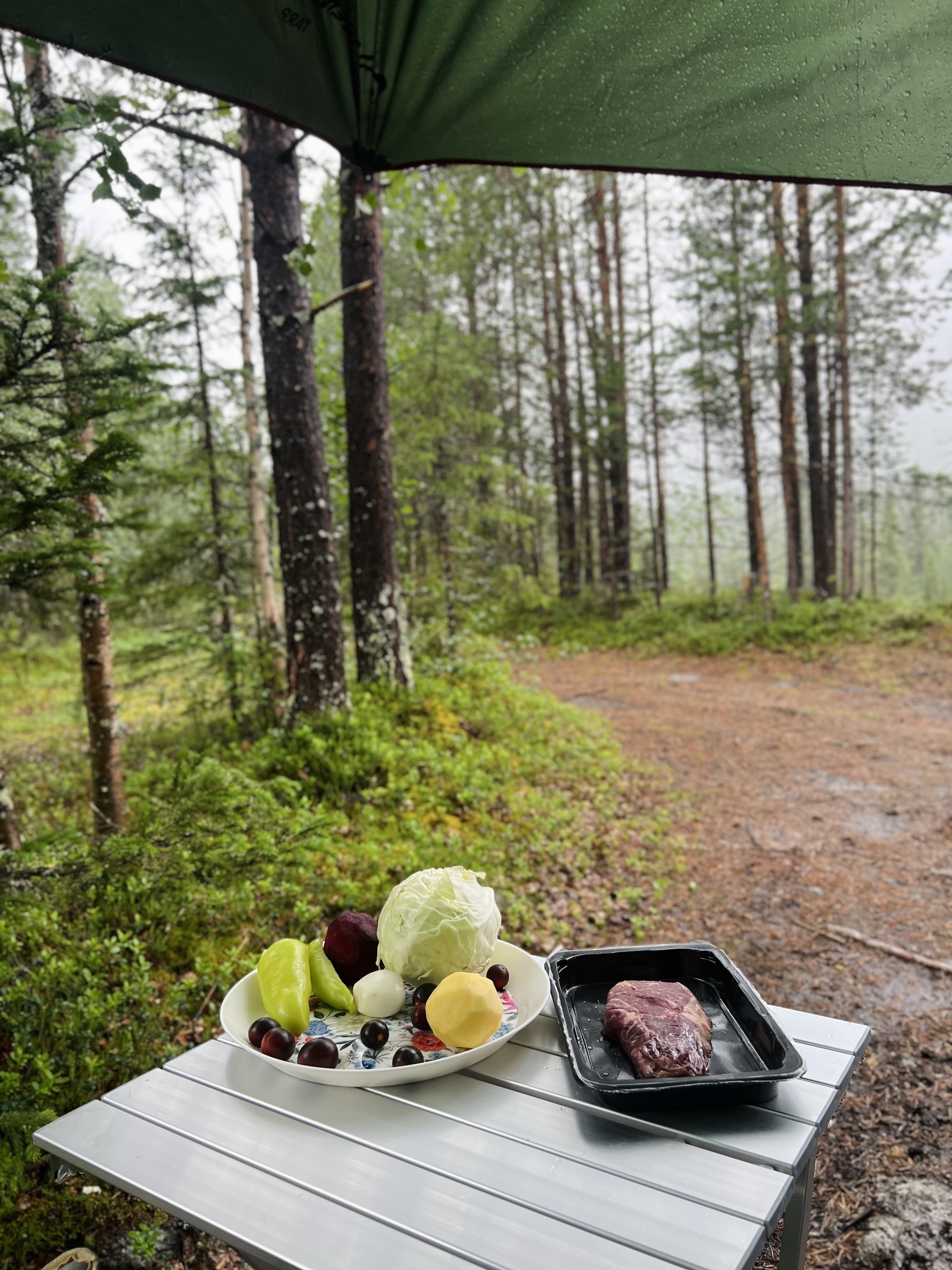 For borscht lovers, camping conditions are not a problem - My, Khibiny, Borsch, Longpost