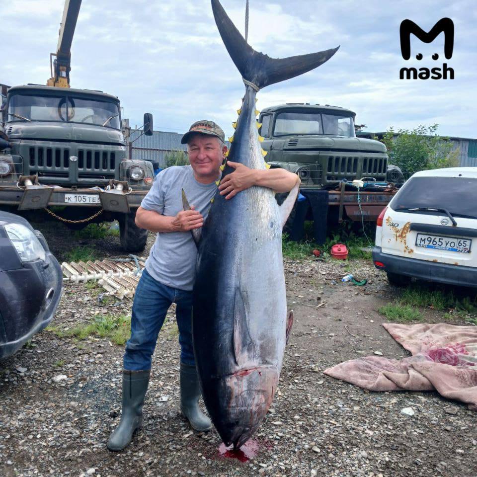 Fishermen in Sakhalin caught a tuna - Tuna, Sakhalin, Fishing, A fish, Video, Longpost