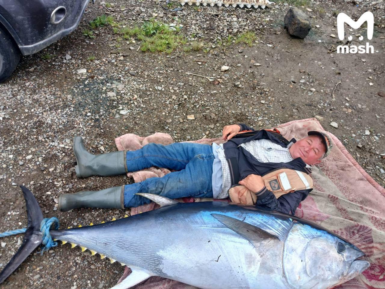 Fishermen in Sakhalin caught a tuna - Tuna, Sakhalin, Fishing, A fish, Video, Longpost