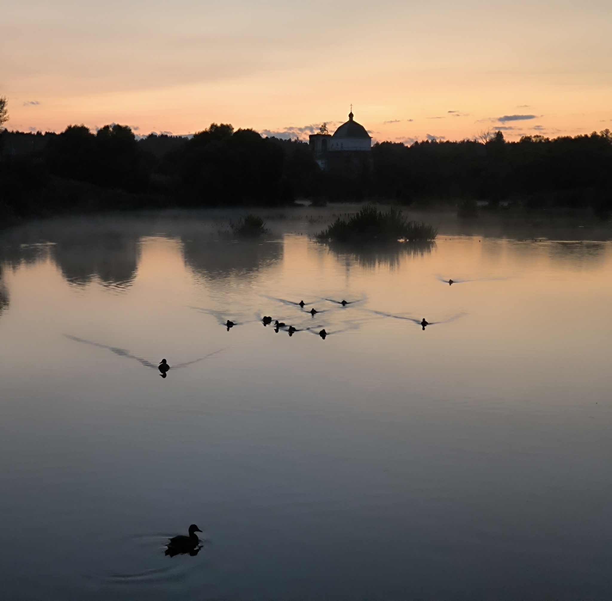 Ducks on the hook - Nature, Pond, Art, Temple