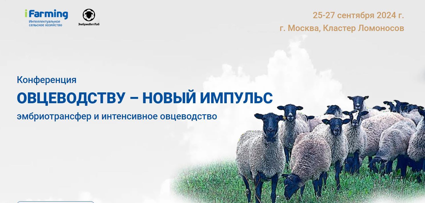 Приглашаем принять участие в конференции Овцеводству - новый импульс! - Моё, Предпринимательство, Хорошие новости, Малый бизнес, Овцеводство, Овцы, Бараны, Мрс, Конференция, Онлайн, Сельское хозяйство, Бизнес, Порода, Технологии, Стартап, Длиннопост