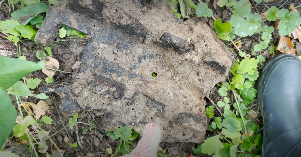 I came across a powerful metal signal on the road - how could I not dig it up? - My, Find, Abandoned, Forest, Search, Longpost