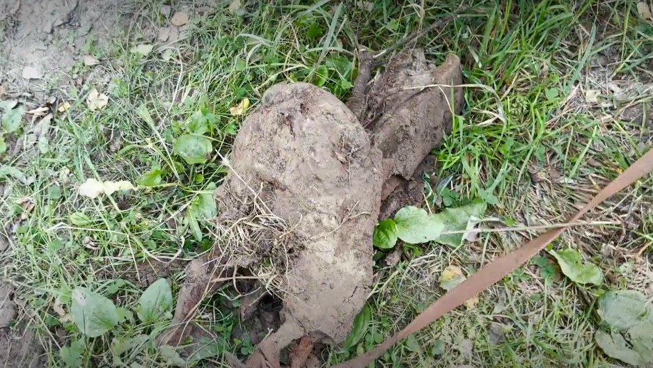 I came across a powerful metal signal on the road - how could I not dig it up? - My, Find, Abandoned, Forest, Search, Longpost