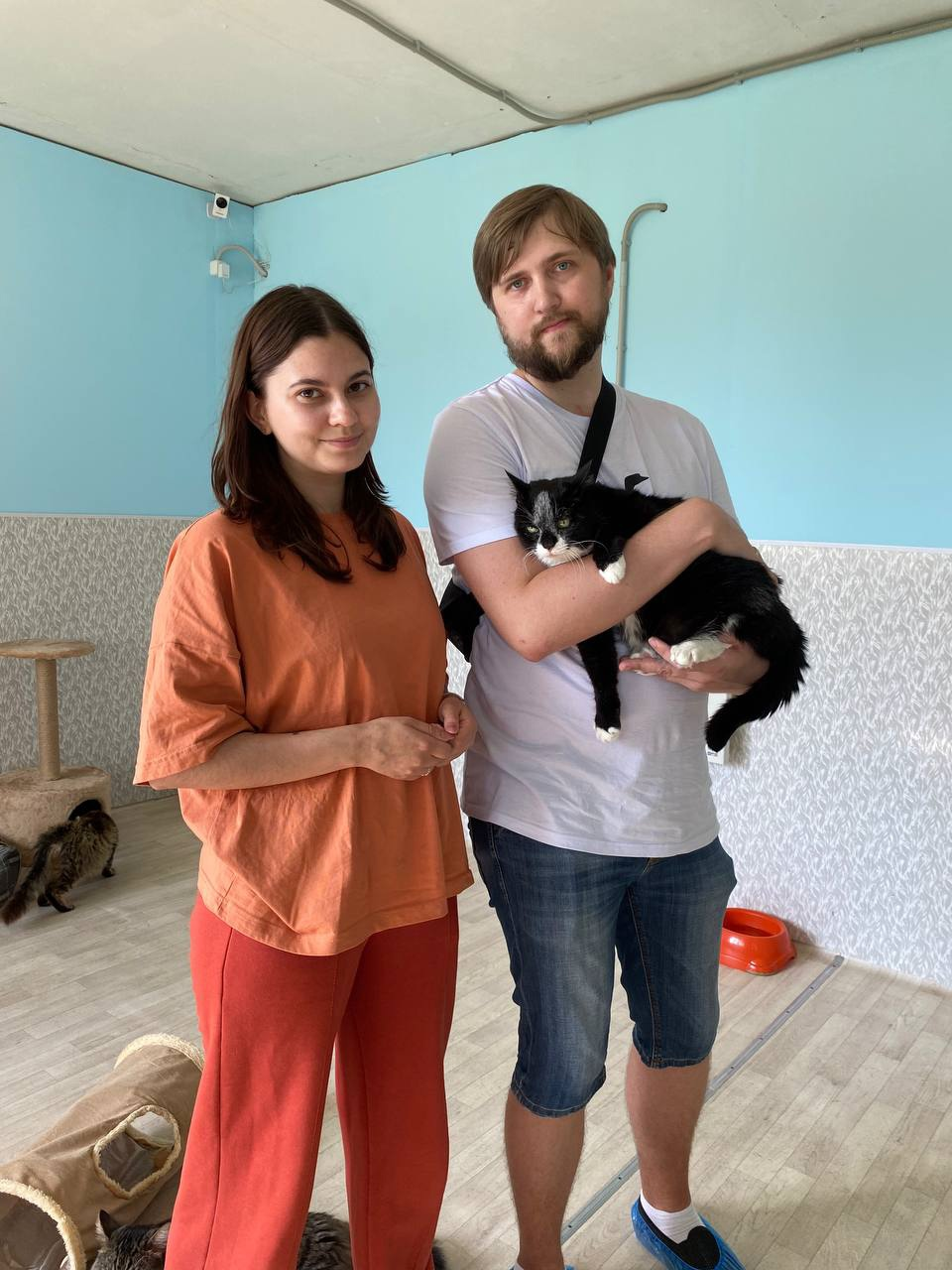 Shelter for homeless cats New House | St. Petersburg - Saint Petersburg, Volunteering, Animal Rescue, Homeless animals, In good hands, Charity, Svyat, Стрим, Shelter, Help, Overexposure, Lost, Video, Vertical video, VKontakte (link), YouTube (link), Longpost, cat