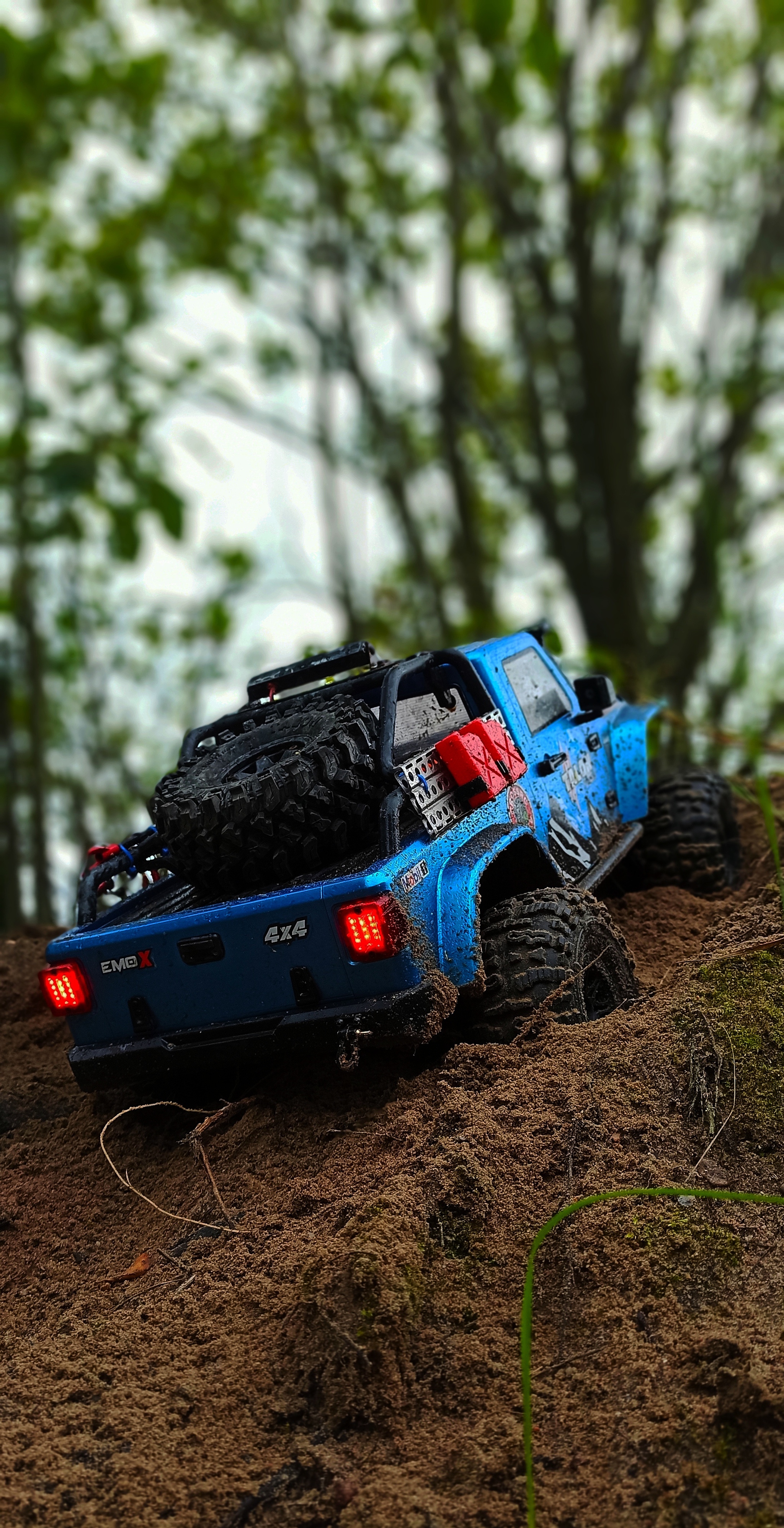 EMO X FreeRider Crossrc Jeep Wrangler - My, Hobby, Radio controlled models, Toys, The photo, Drive, Longpost