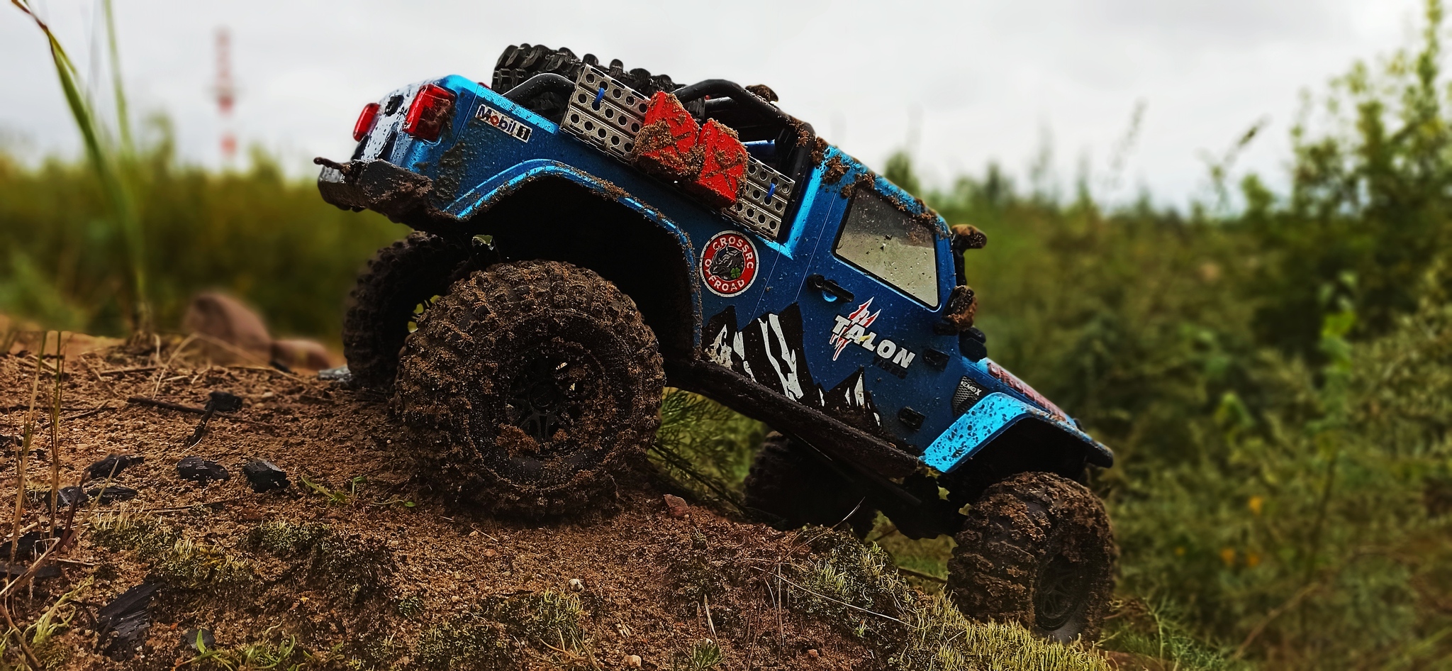 EMO X FreeRider Crossrc Jeep Wrangler - My, Hobby, Radio controlled models, Toys, The photo, Drive, Longpost