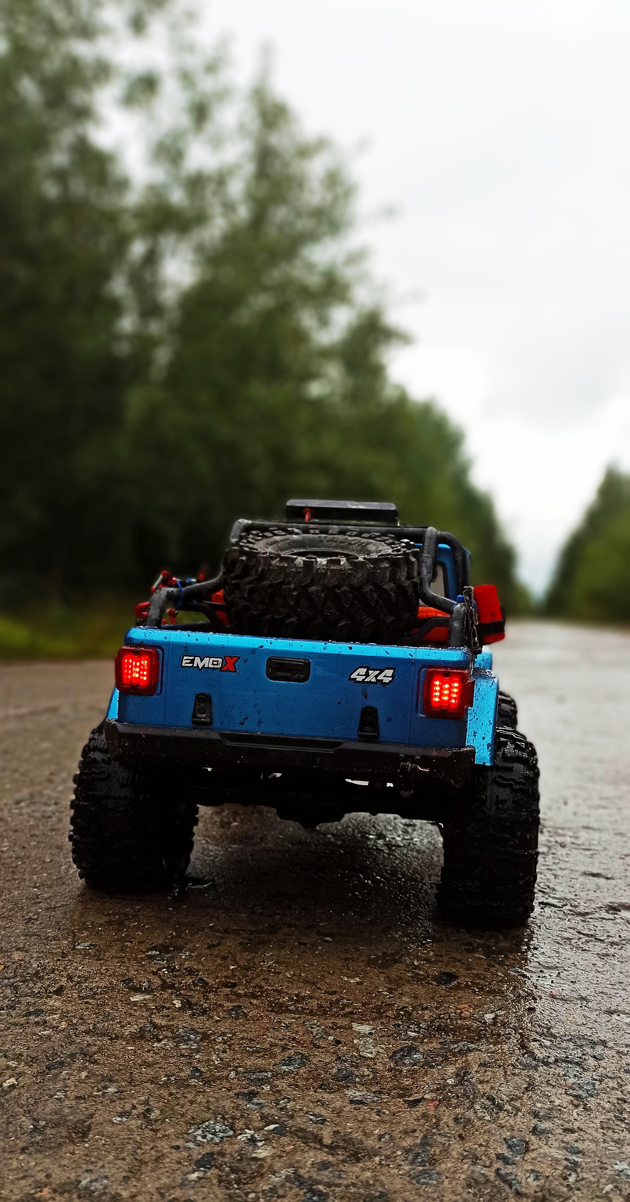 EMO X FreeRider Crossrc Jeep Wrangler - My, Hobby, Radio controlled models, Toys, The photo, Drive, Longpost