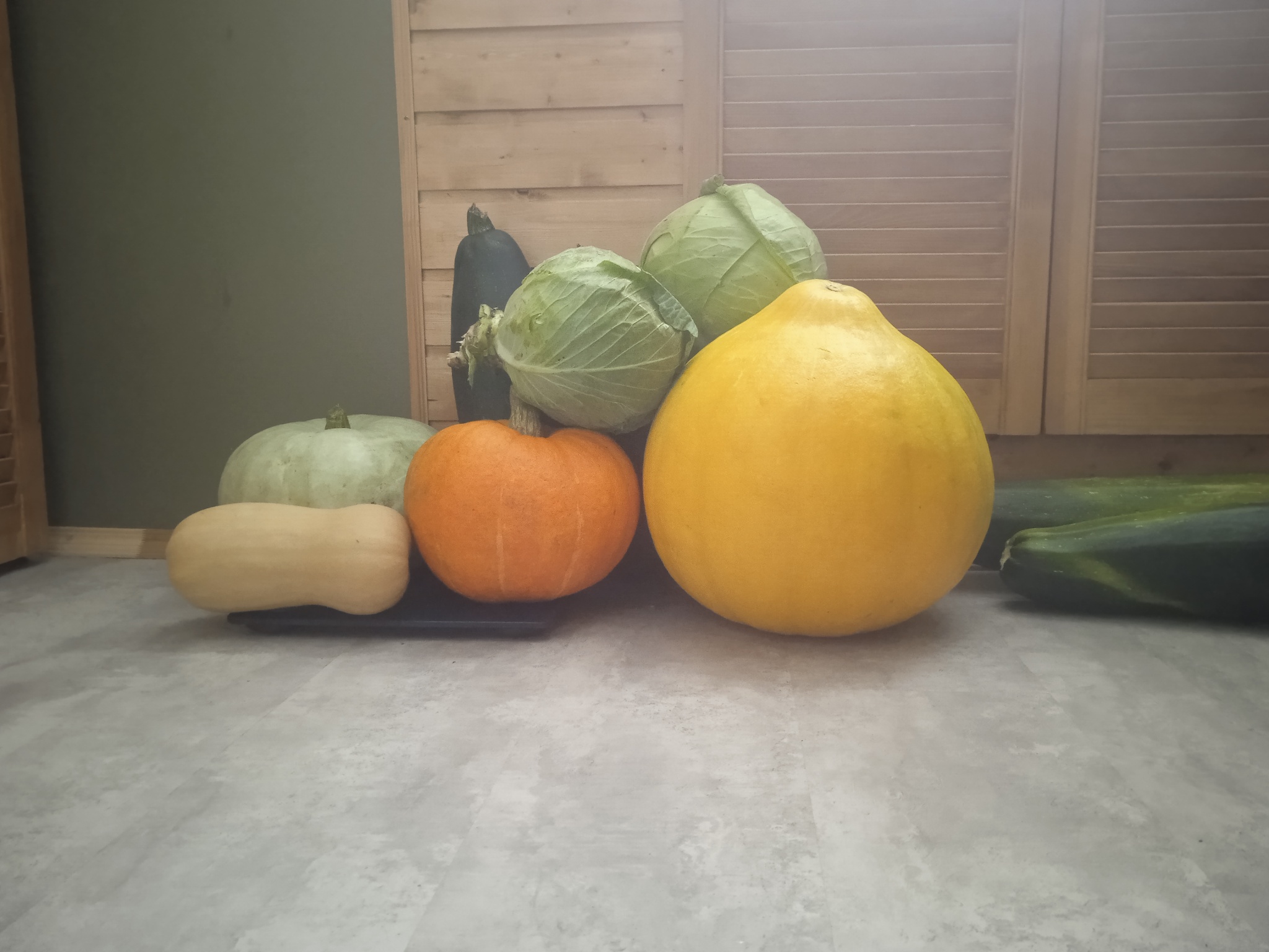 Autumn still life :-) - Autumn, Vegetables, The photo