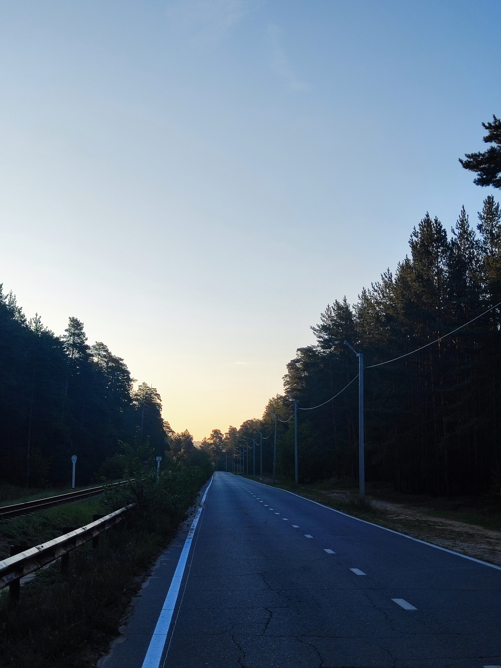 Good Saturday morning! - My, Run, Sport, Morning, Good morning, Forest, Lake, Career, Kazan, Yudino, cat, Animals, The photo, Mobile photography, Longpost