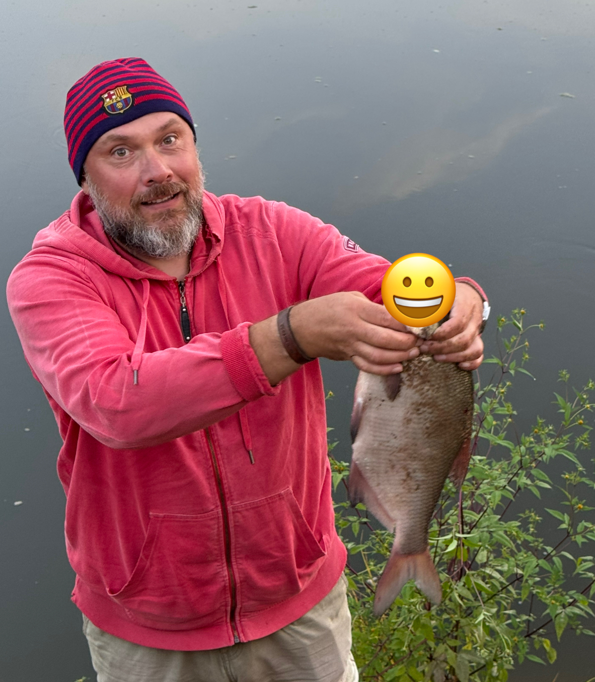 Catch of the last day of summer - My, Fishing, Fishermen, Catch, Bream, A fish, Dnieper, Camping