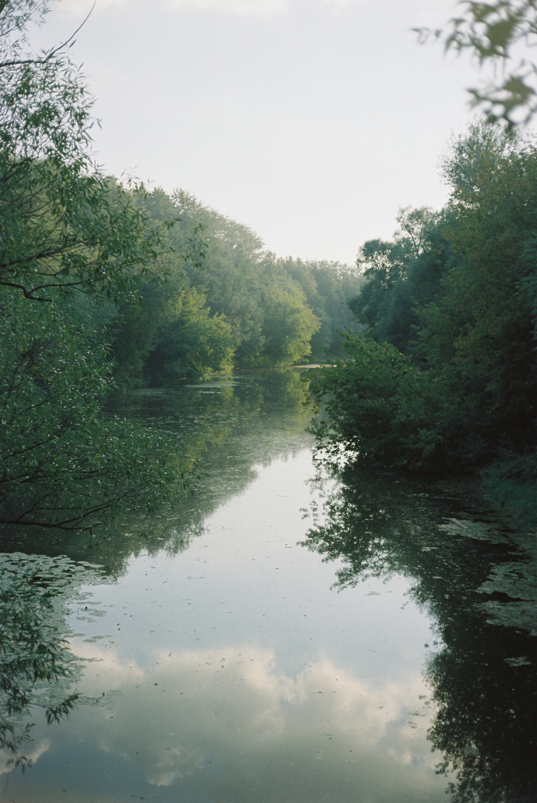 Фото на пленку.Yashica GS Electro - Моё, Пленка не умерла, Пленочные фотоаппараты, Фотография, Длиннопост