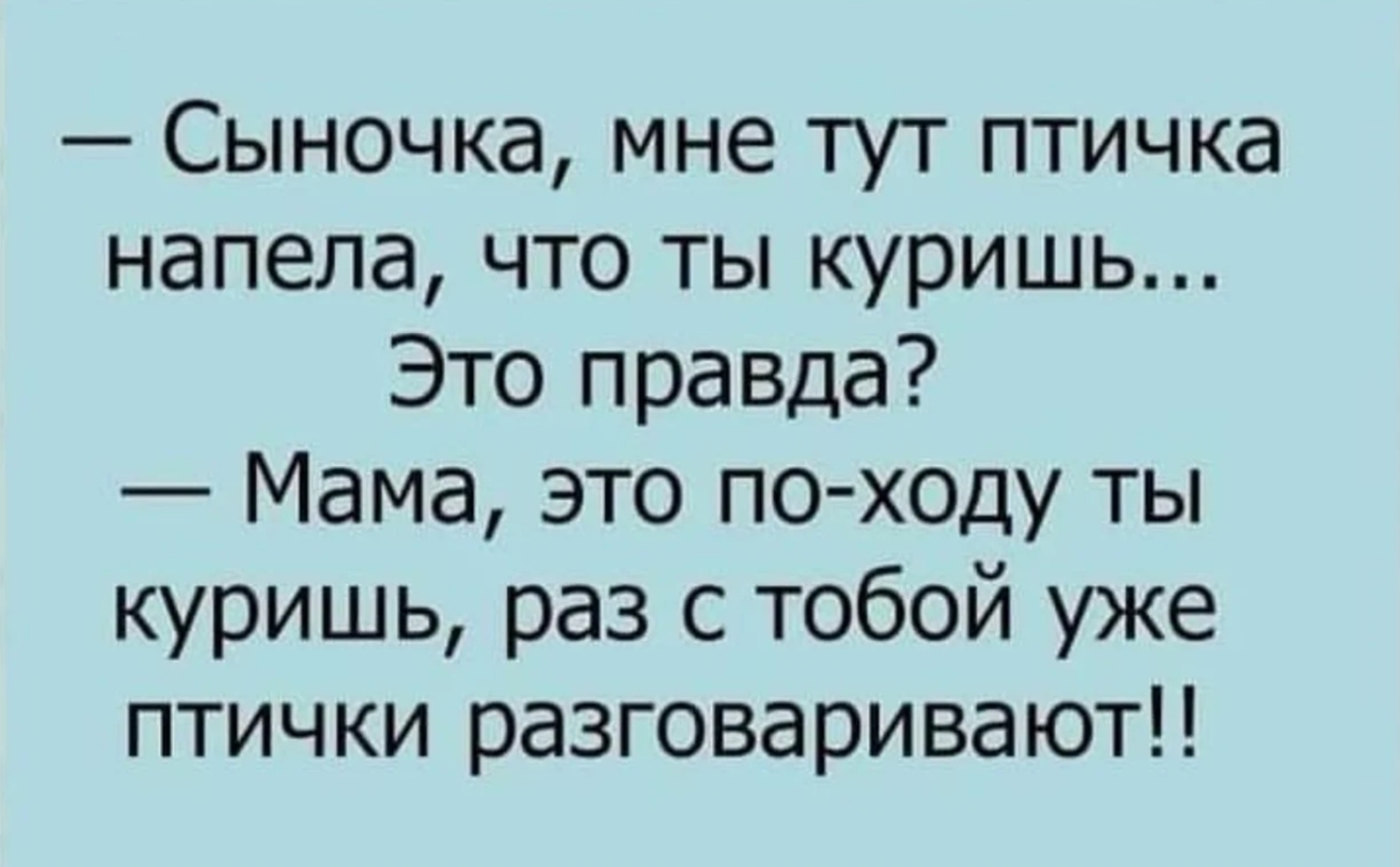 Это по-ходу ты... - Из сети, Юмор, Мемы, Курение, Птицы, Мама, Сын, Вопрос, Ответ, Диалог, Разговор, Общение, Анекдот, Картинка с текстом, Зашакалено