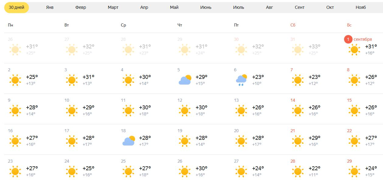 We invite you to visit us this autumn (it's still summer here) to relax in Shymkent and the Turkestan region - My, Shymkent, Kazakhstan, Kazakhstan South, Kazakhstani scientists, Relaxation, CIS, Vacation, Turkestan oblast, Turkestan, Longpost, Tourism