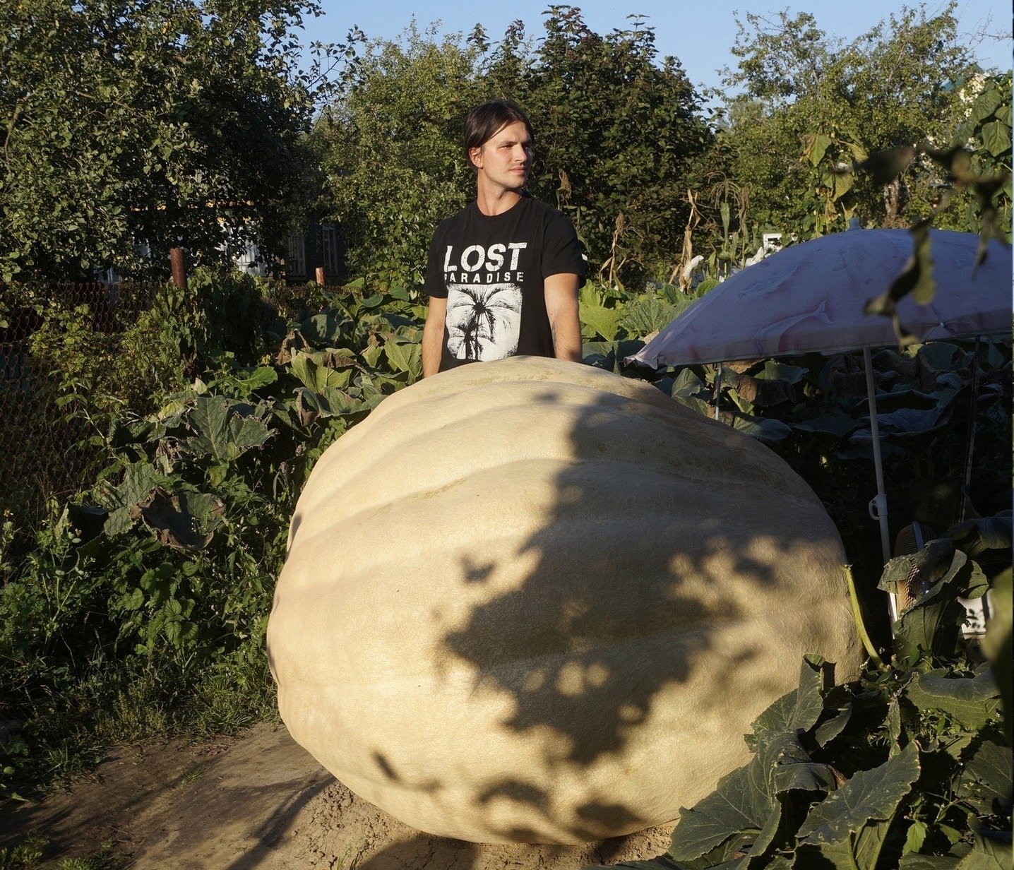 Giant Pumpkin Summary for 09/01/2024 - My, Gardening, Garden, Vegetables, Garden, Plants, Longpost, Big size