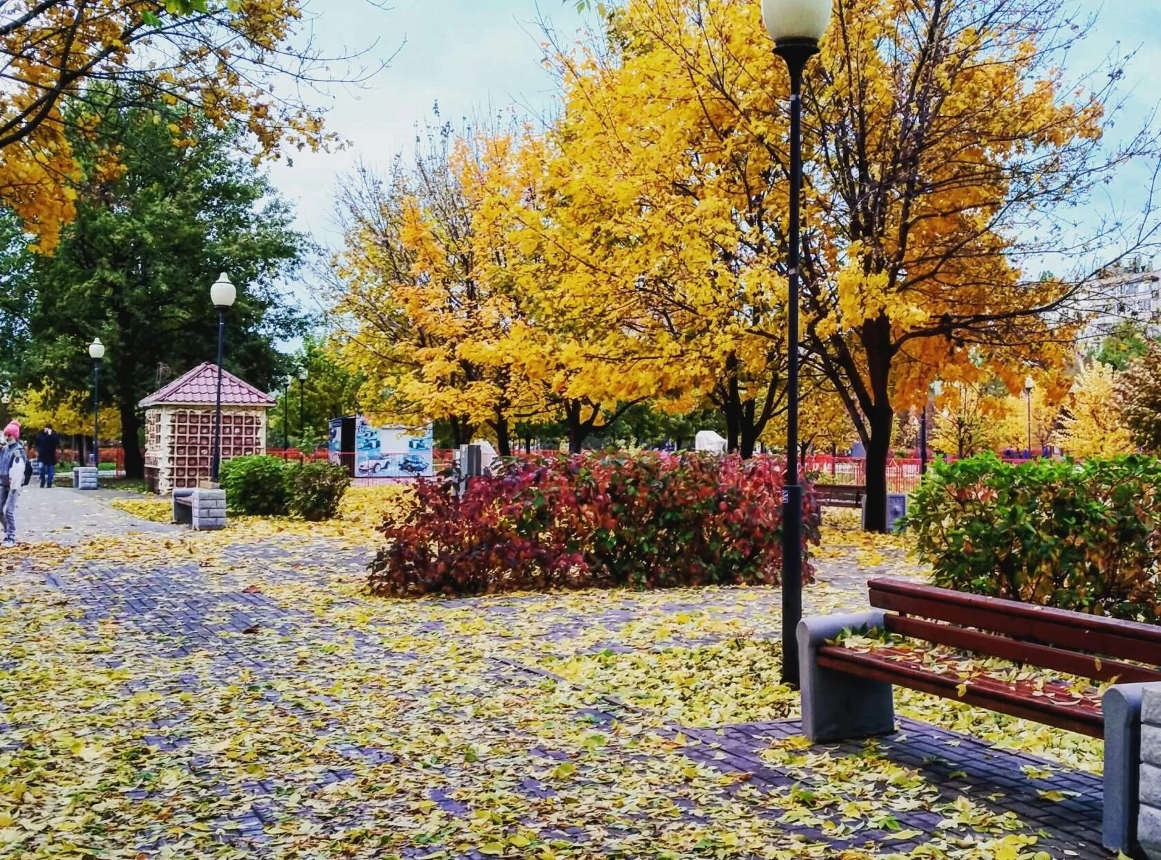 I'm waiting for such an autumn - My, Autumn, Voronezh, Victory park